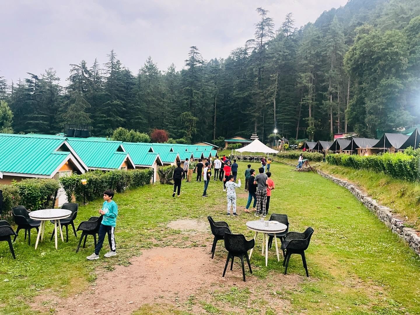 Picnic "Shimla"